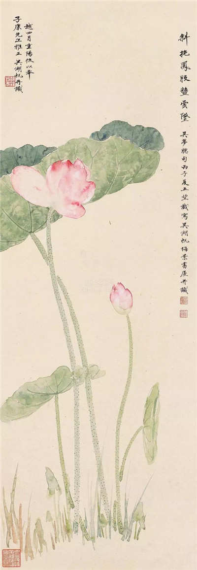 吴湖帆笔下的荷花：雍容富丽 卓卓可观