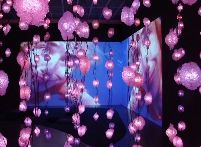 Pipilotti Rist at New Museum，2017