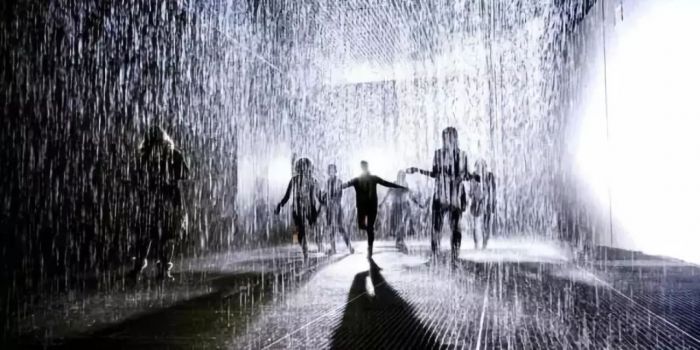 Rain Room，2012