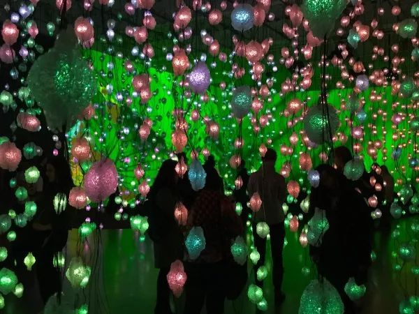 Pipilotti Rist at New Museum，2017