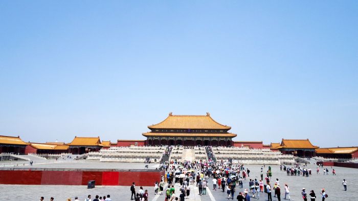 “打卡”博物馆成为年轻人新时尚