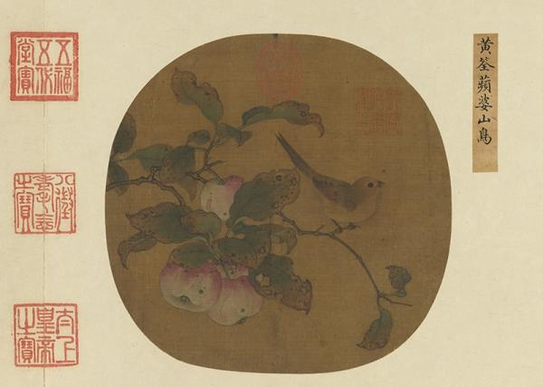 五代 黄筌，《苹婆山鸟》