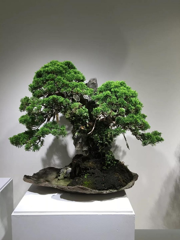 赵辉作品