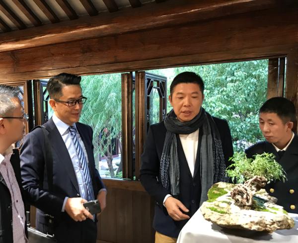 参观者在观赏盆景