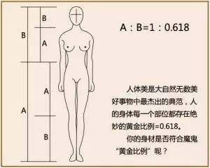 黄金分割 原来是场骗局