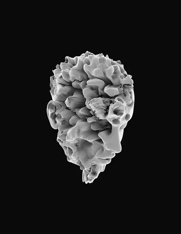 数字艺术：用科学改变艺术的维度