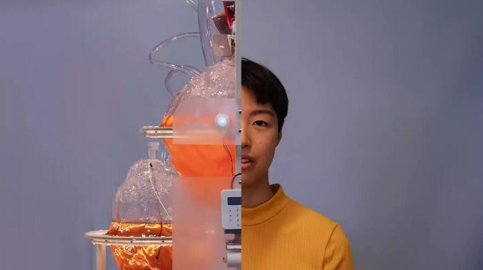 玛丽·卡耶 & 阿维德·詹斯《共生自主机器》
