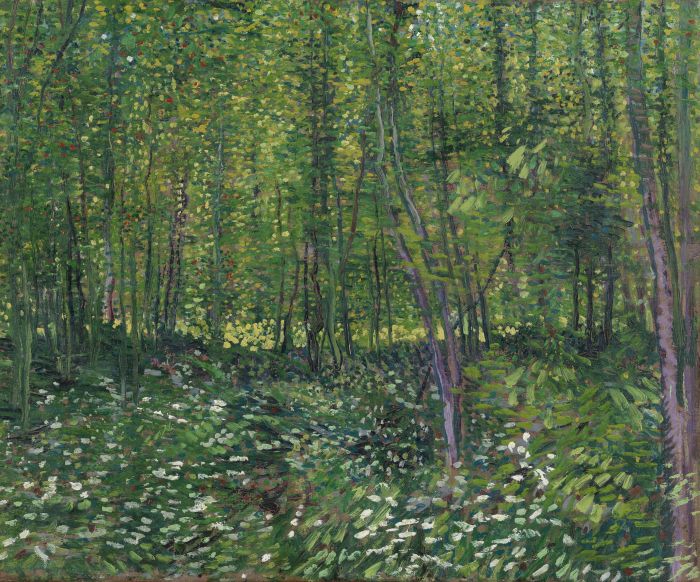 Vincent van Gogh, Trees and Undergrowth, July 1887,Oil on canvas, Credits (obliged to state): Van Gogh Museum, Amsterdam (Vincent van Gogh Foundation)