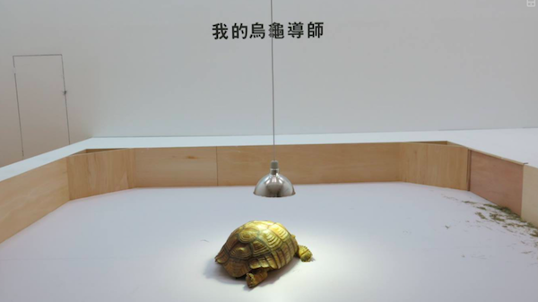 伊斯坦布尔双年展的启示