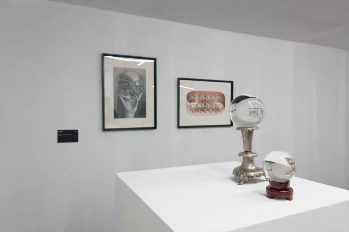从星座到混合主题 解读第三届北京国际摄影双年展
