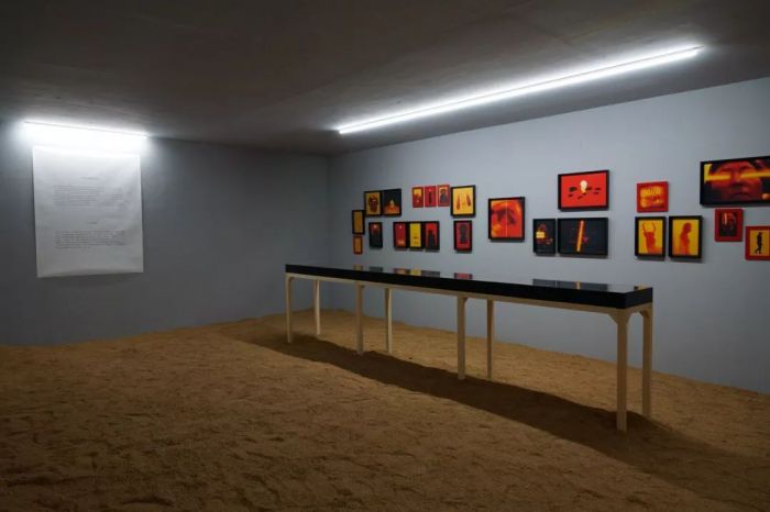 从星座到混合主题 解读第三届北京国际摄影双年展