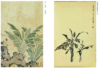 《芥子园画传图释》中“写意芭蕉”。资料图片