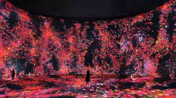 「花与人，不为所控却能共生，消除作品的边界-度时如年」