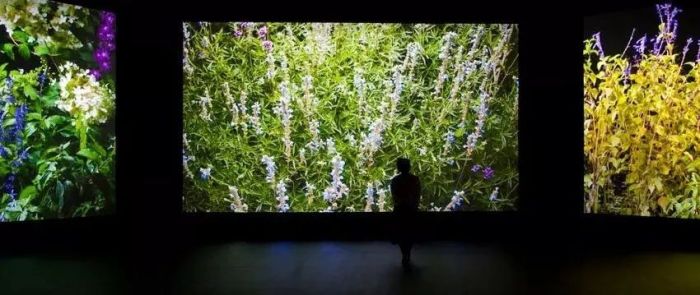 展览集合 3月的上海很热闹