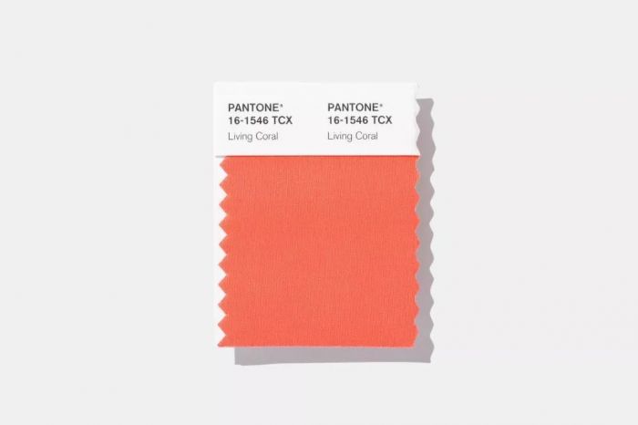 图片致谢 Pantone