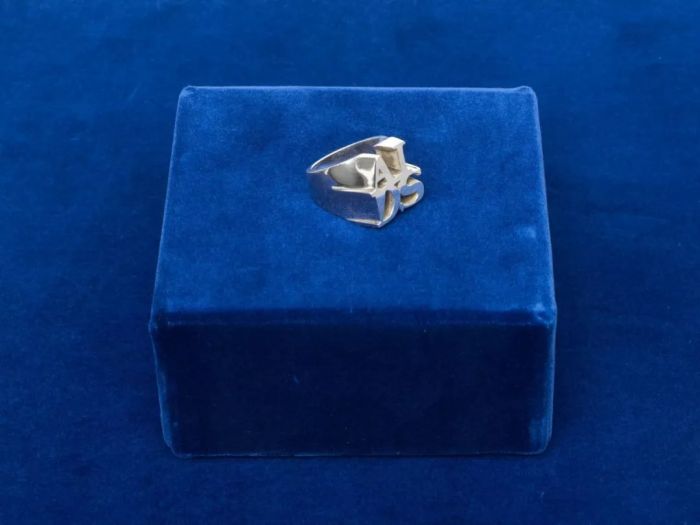 《AIDS Ring》（1993~1996），