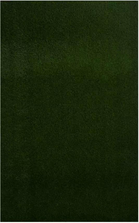 fake grass，160x100cm，人造草皮，有机玻璃artificial grass，plexiglass，2017