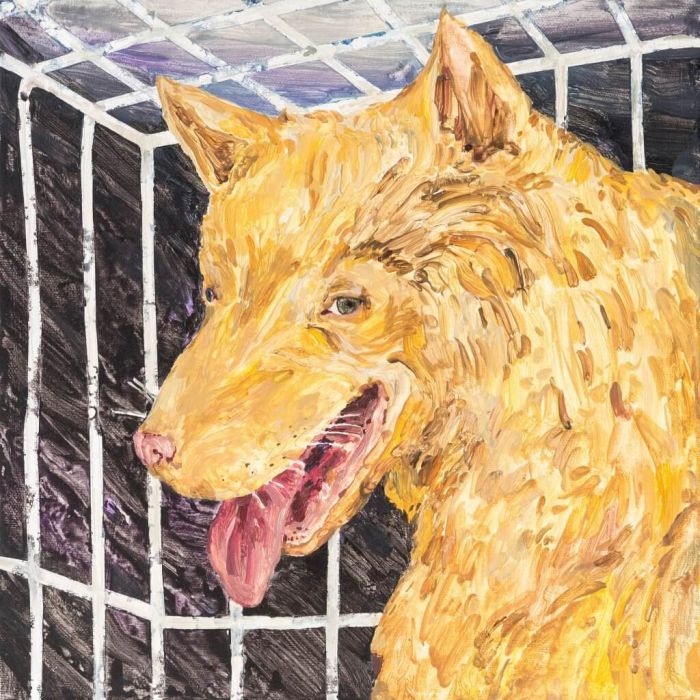 图/ 王冠蓁 提供。