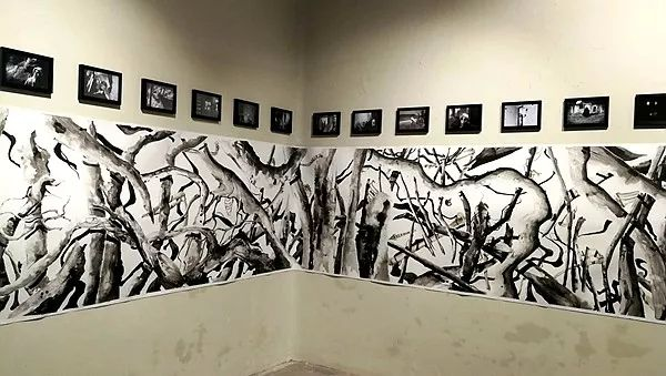 2018年科钦-穆兹里斯双年展作品