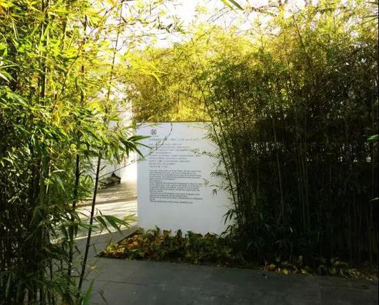 长满青苔的房间“M的房间”艺术项目展览II