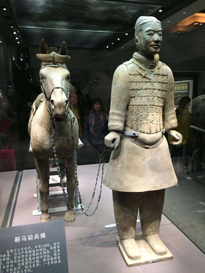 秦始皇兵马俑在新西兰国家博物馆展出
