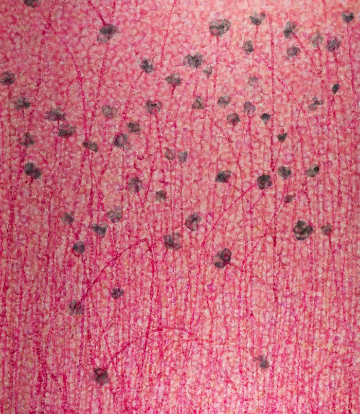 作品160104