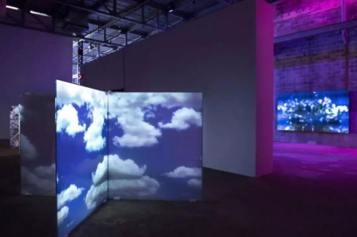 ▲ 戴安娜·塔特尔个展现场图，摄影：Liza Voll Photography