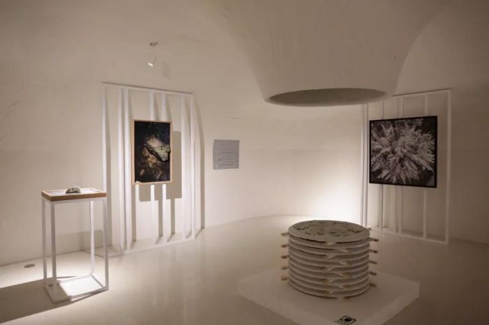 UCCA沙丘美术馆迎来开幕首展“后自然”