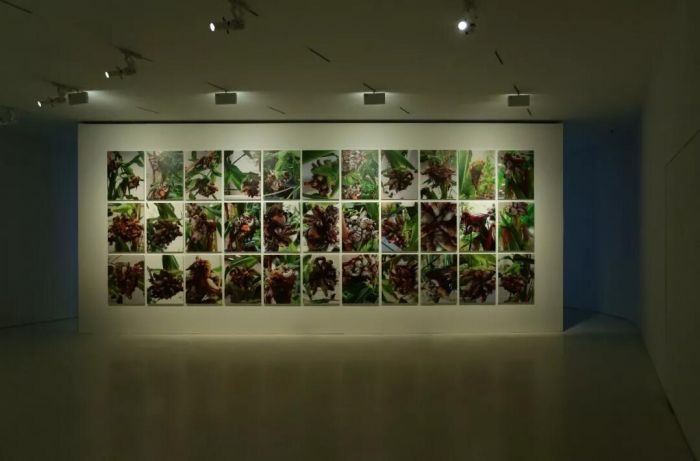 UCCA沙丘美术馆迎来开幕首展“后自然”