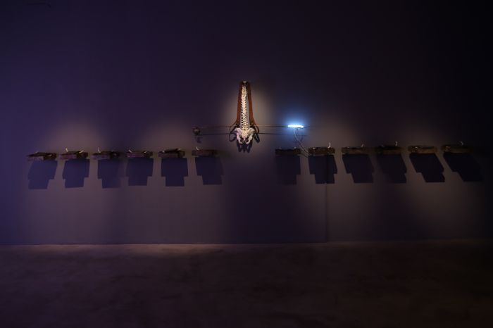 展讯 | 