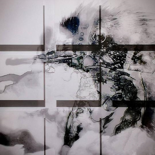 《关雎》，傅文俊，数绘摄影，100x100cm，2017-2018