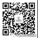 “无需言语”璞雪莉个展7.13晚开幕 
