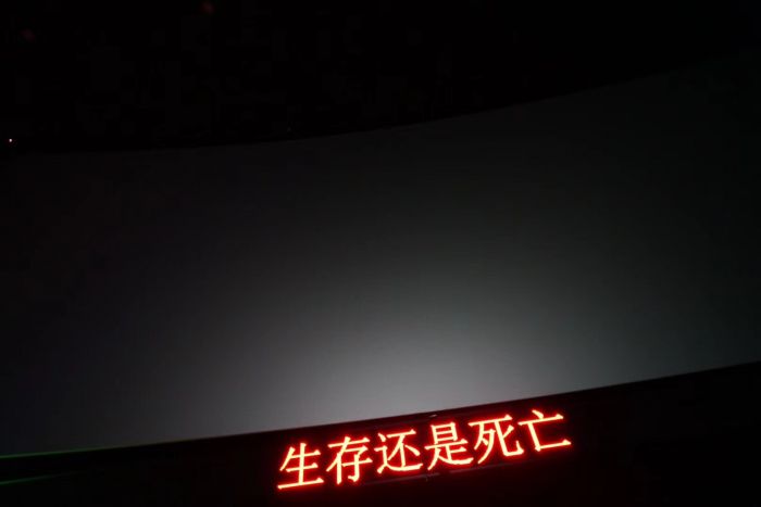 让-吕克·戈达尔导演作品《影像之书》放映会现场