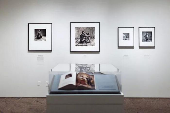 2017年，大都会博物馆为欧文·佩恩举办的诞辰百年纪念展现场，Installation photographs by Corrado Serra