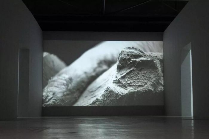 “体系：隋建国 2008－2018”在OCAT深圳馆A、B展厅中展出