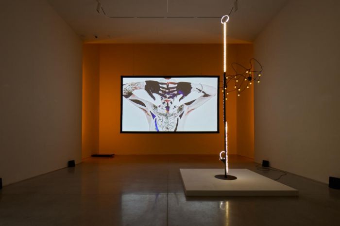 Installation view of Cheng Ran, The Lament: Mountain Ghost, Ota Fine Arts Shanghai