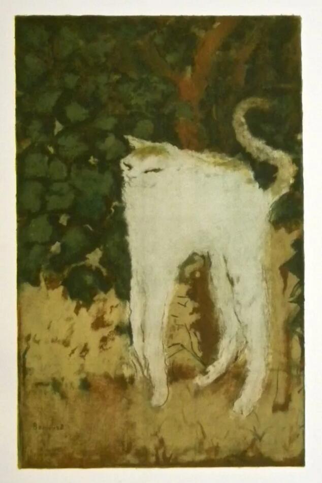 《白猫》皮埃尔·波纳尔（Pierre Bonnard）1894年