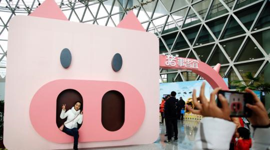上海科技馆猪年生肖特展 探索关于猪的文化渊源