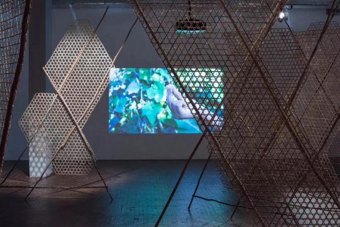 米妮亚·比亚比亚尼，《托利托利》（Minia Biabiany, Toli Toli），