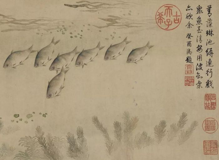 余省《鱼藻图》，设色纸本手卷