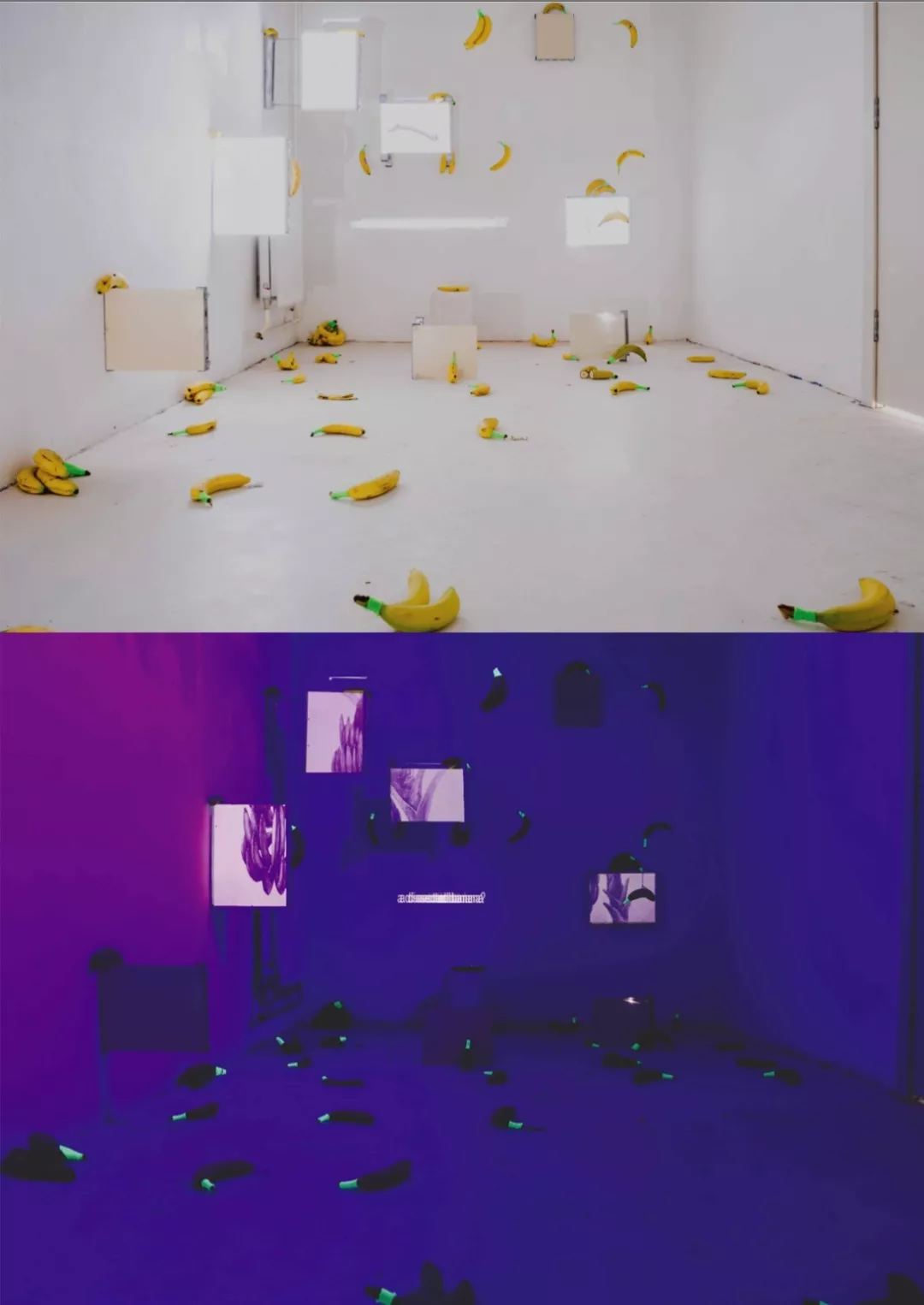20190415190012_4766.png
