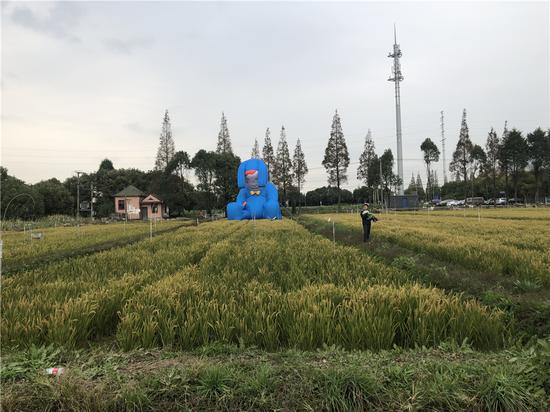 可·美术馆练塘艺术计划第二回“田字旁”开幕