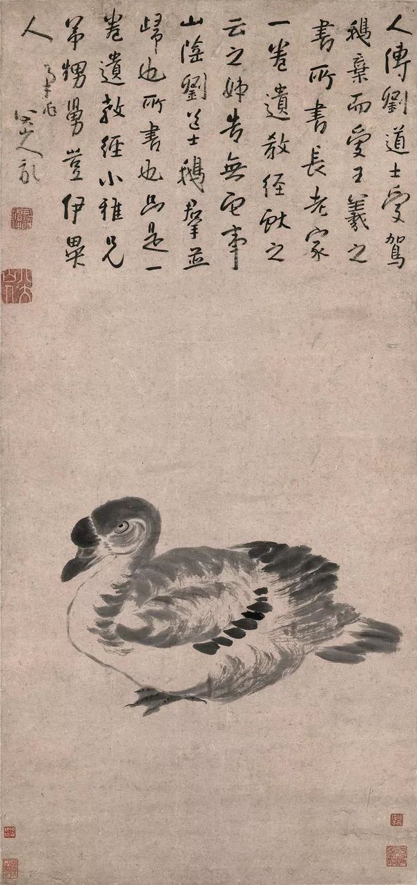 鹅 八大山人 清
