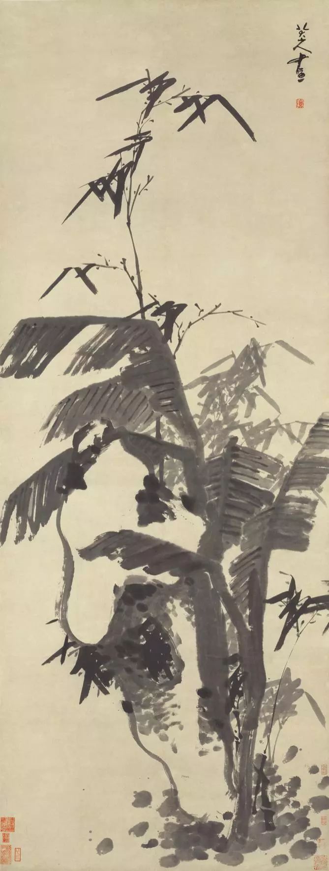 芭蕉竹石图 八大山人 清