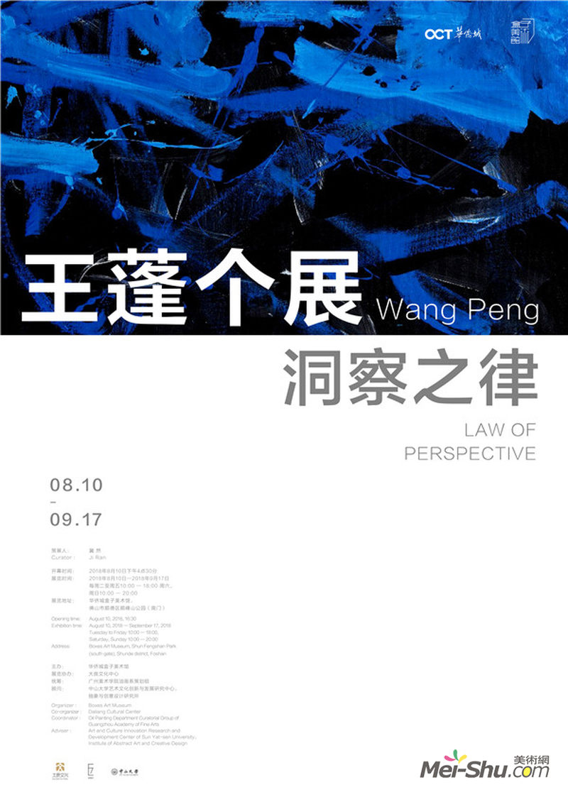 王蓬个展:洞察之律