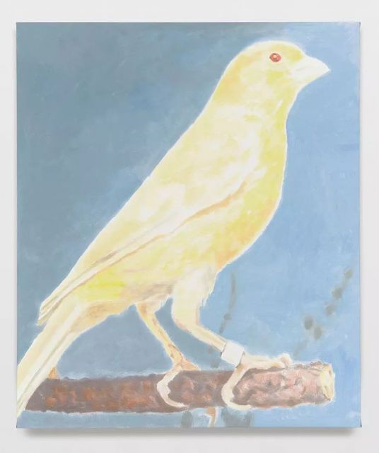 吕克图伊曼斯肌肤