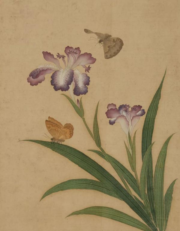 清 恽冰《四季虫卉图册》 (局部)