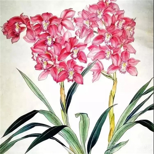 新加坡胡姬花| 1990年| 孔继昭