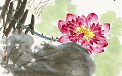 画荷漫谈：夏已远 赏荷需到画中来