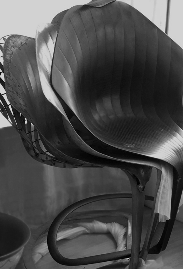 校友动态汪宸亦银杏叶椅子的诞生